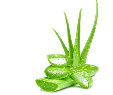 Blattsaft augs Aloe Vera  Nachgewiesene Vorteile  Aloe Vera besitzt verjüngende Eigenschften  Sie hat entzündungshemmende und antibakterielle Wirkung  Sie stimuliert die Erneuerung der Epidermis sowie die Granulation des Bindegewebes  Sie beschleunight diw Heilung von Wunden